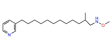 Hachijodine C